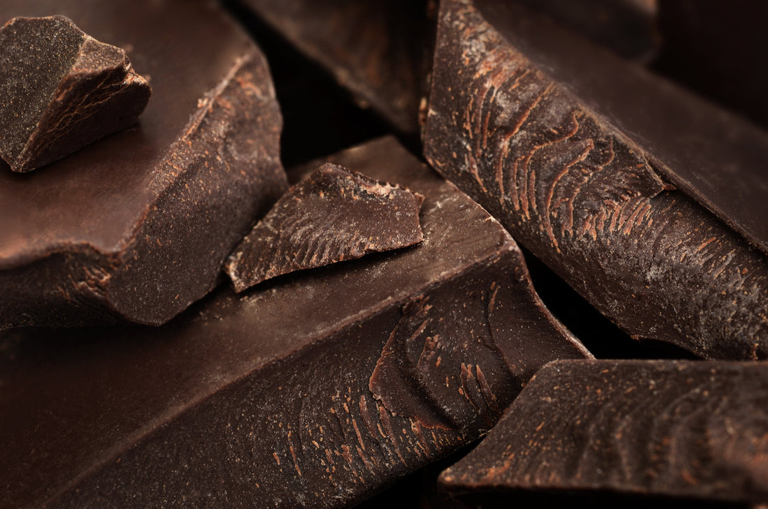 The History of Chocolate