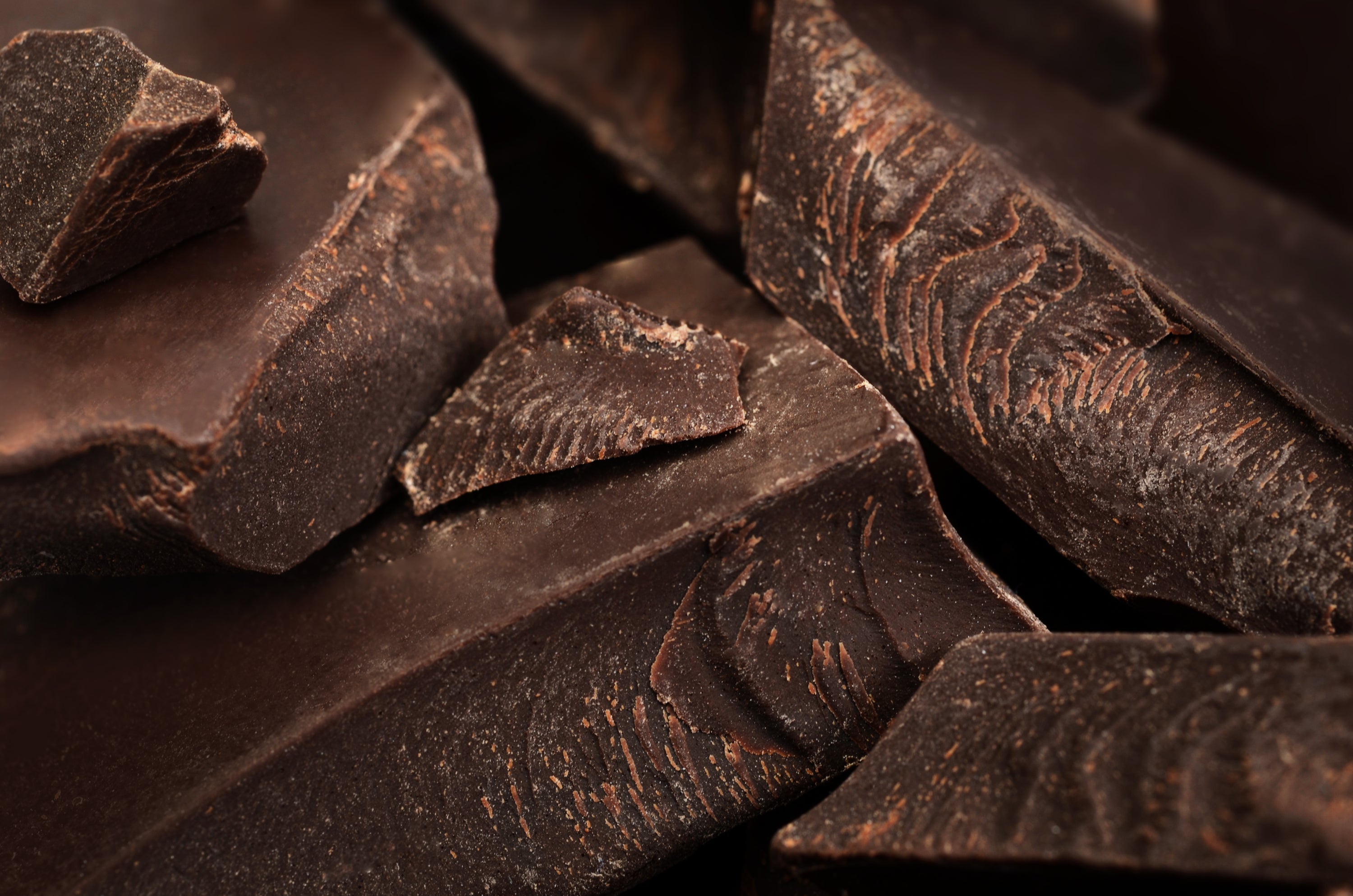 The History of Chocolate